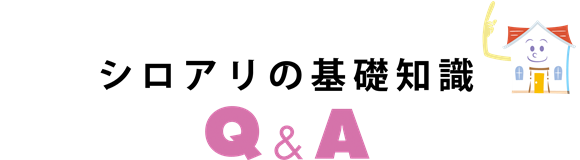 シロアリの基礎知識Q&A